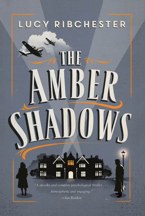Cover image for book The Amber Shadows