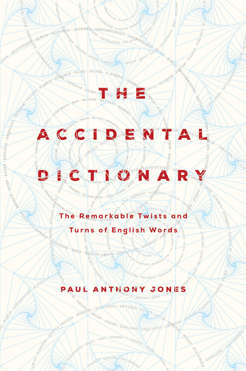 Cover image for book The Accidental Dictionary