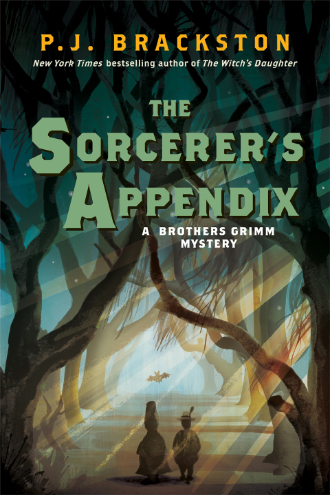 Cover image for book The Sorcerer's Appendix