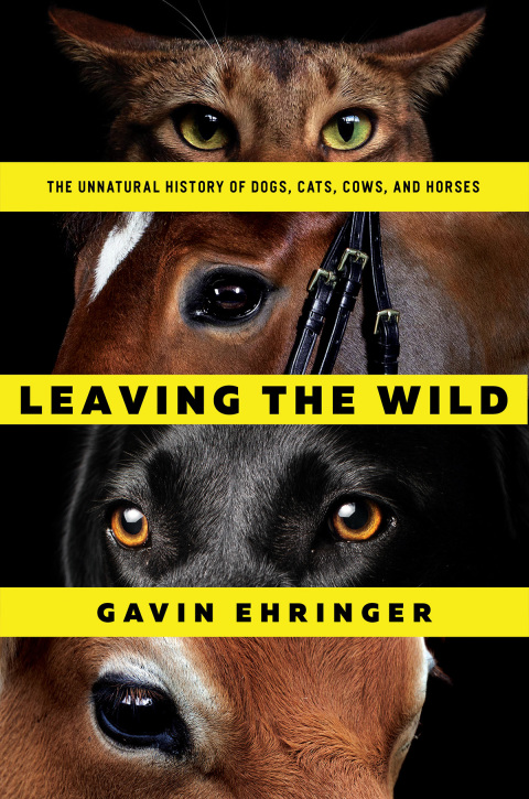 Cover image for book Leaving the Wild