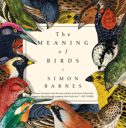 Cover image for book The Meaning of Birds