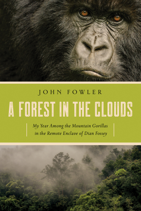 Cover image for book A Forest in the Clouds