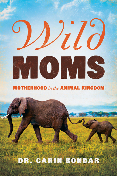 Cover image for book Wild Moms