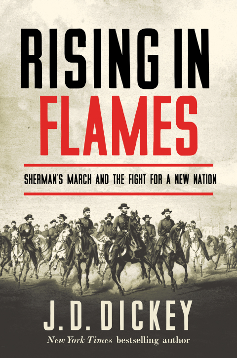 Cover image for book Rising in Flames