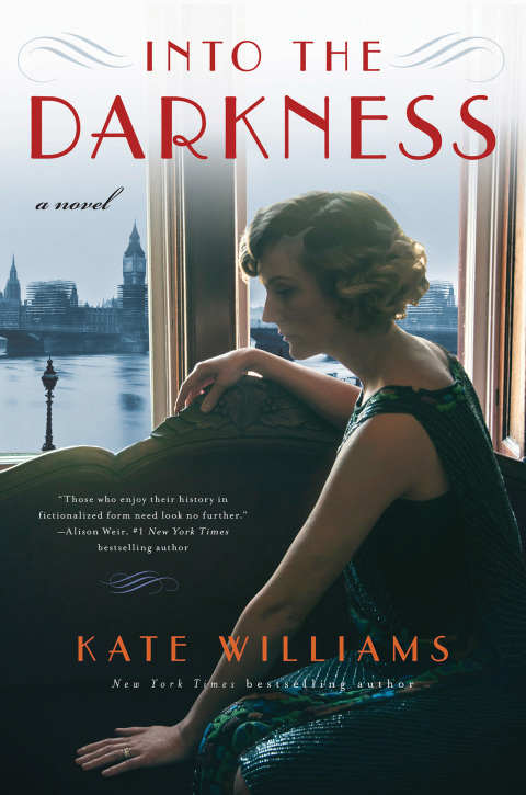 Cover image for book Into the Darkness
