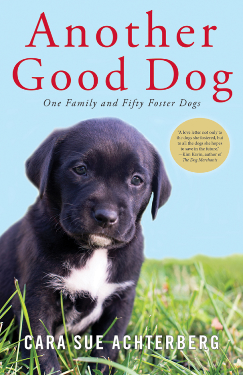 Cover image for book Another Good Dog