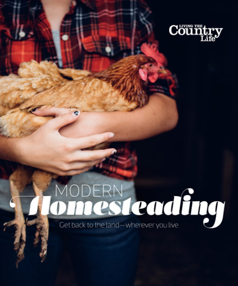 Cover image for book Modern Homesteading
