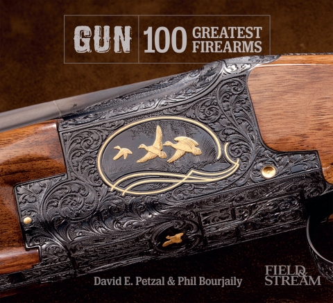 Cover image for book Gun