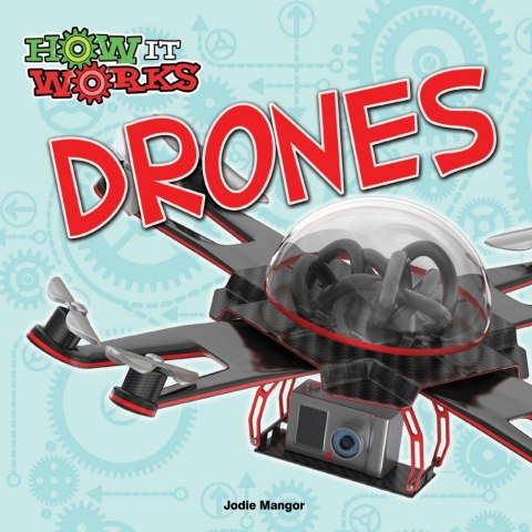 Cover image for book Drones