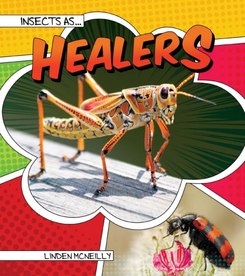 Cover image for book Insects as Healers