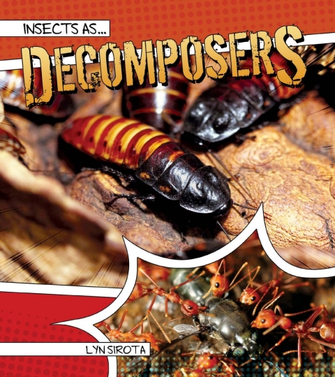 Cover image for book Insects as Decomposers