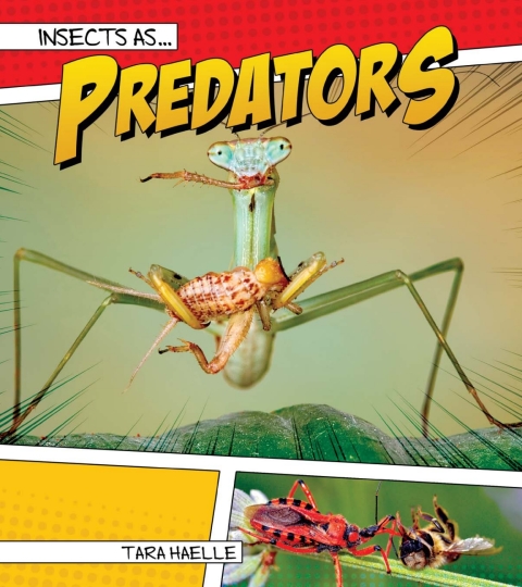 Cover image for book Insects as Predators