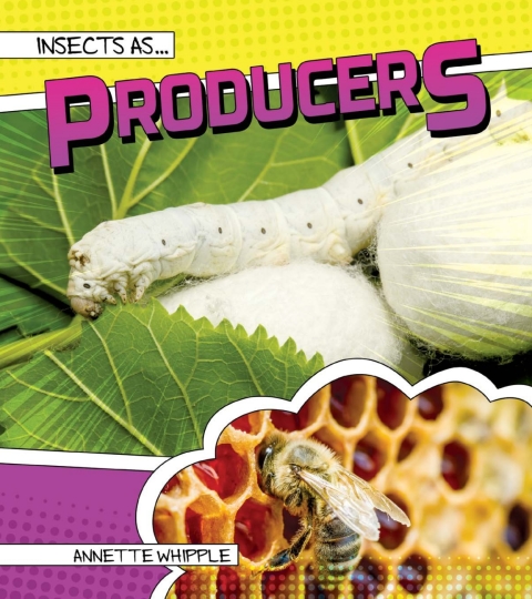 Cover image for book Insects as Producers