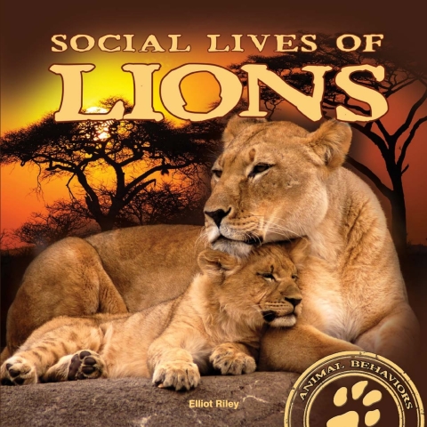 Cover image for book Social Lives of Lions