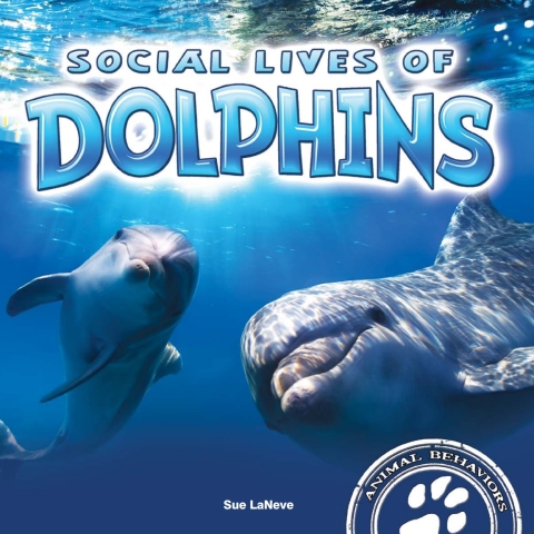 Cover image for book Social Lives of Dolphins