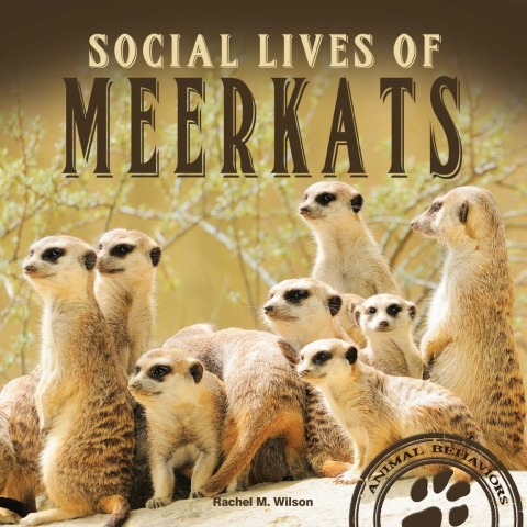Cover image for book Social Lives of Meerkats