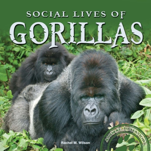 Cover image for book Social Lives of Gorillas