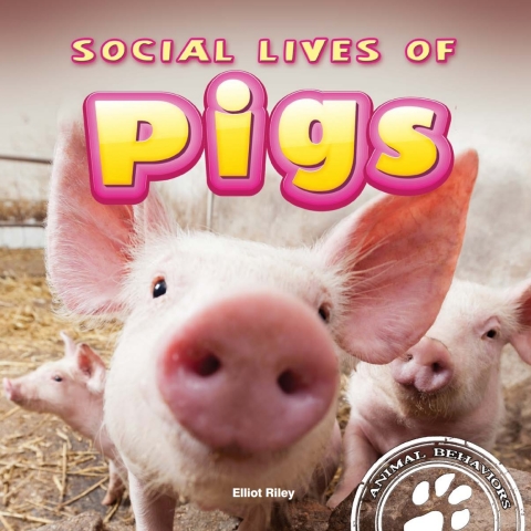 Cover image for book Social Lives of Pigs