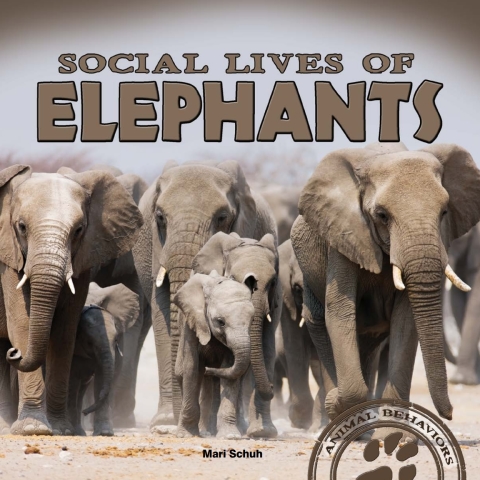 Cover image for book Social Lives of Elephants