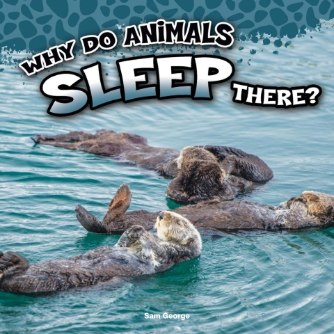 Cover image for book Why Do Animals Sleep There?