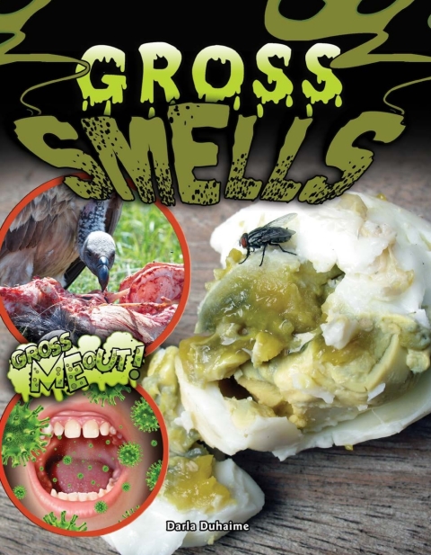 Cover image for book Gross Smells