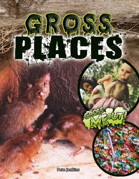 Cover image for book Gross Places