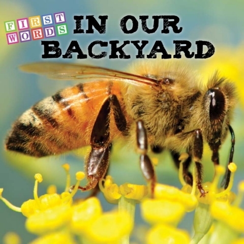 Cover image for book In Our Backyard