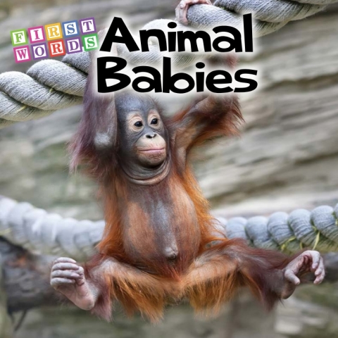 Cover image for book Animal Babies