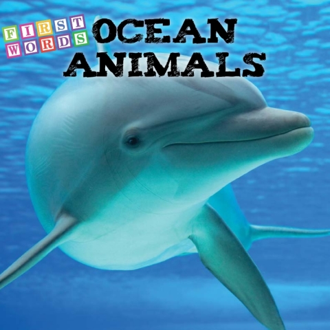 Cover image for book Ocean Animals