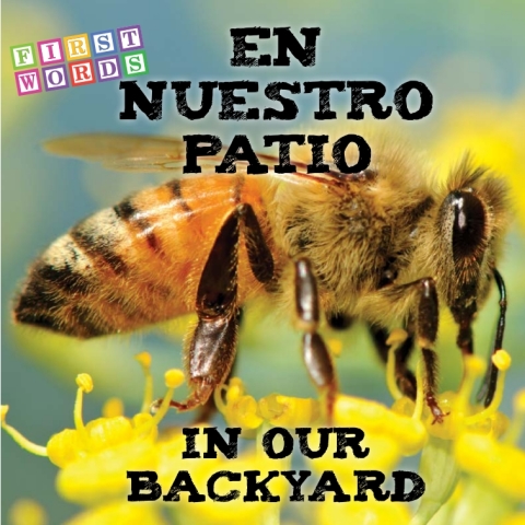 Cover image for book En nuestro patio