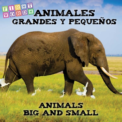 Cover image for book Animales grandes y pequeños