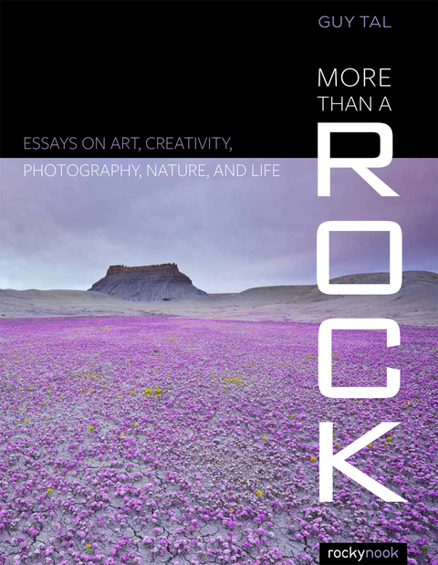 Cover image for book More Than a Rock