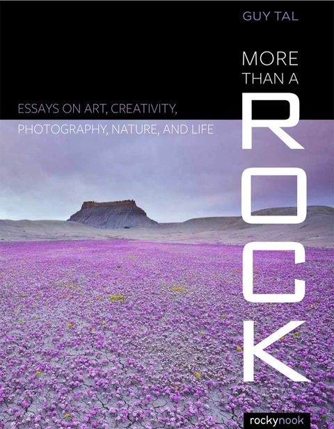 Cover image for book More Than a Rock