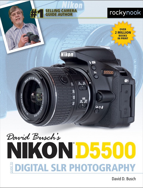 Cover image for book David Busch’s Nikon D5500 Guide to Digital SLR Photography