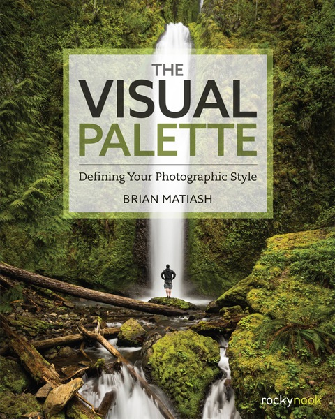 Cover image for book The Visual Palette
