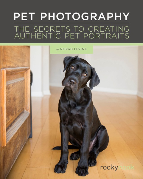 Cover image for book Pet Photography