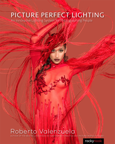 Cover image for book Picture Perfect Lighting