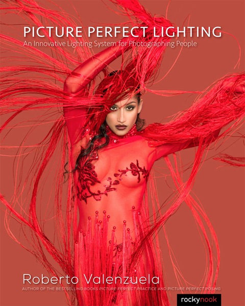 Cover image for book Picture Perfect Lighting