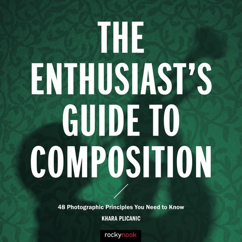 Cover image for book The Enthusiast's Guide to Composition
