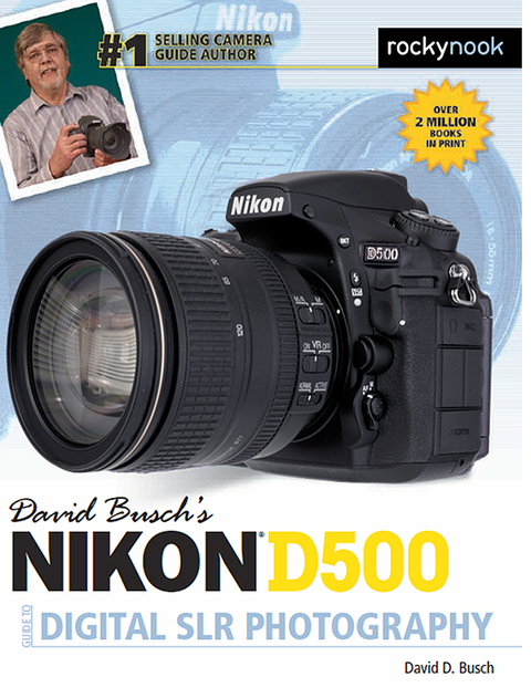 Cover image for book David Busch’s Nikon D500 Guide to Digital SLR Photography
