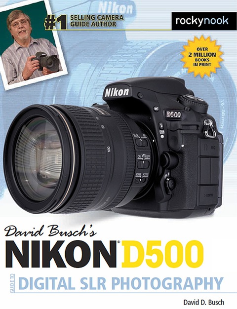 Cover image for book David Busch’s Nikon D500 Guide to Digital SLR Photography