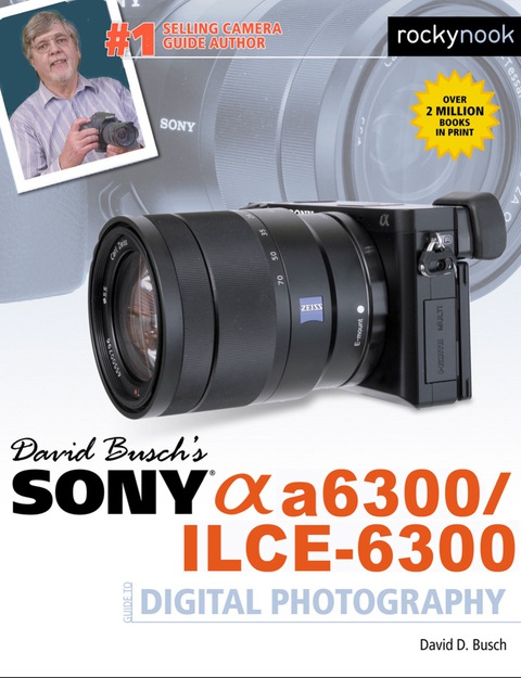 Cover image for book David Busch’s Sony Alpha a6300/ILCE-6300 Guide to Digital Photography