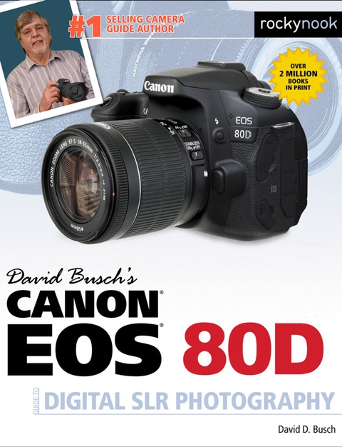 Cover image for book David Busch's Canon EOS 80D Guide to Digital SLR Photography