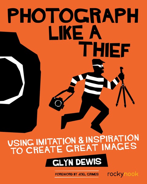 Cover image for book Photograph Like a Thief