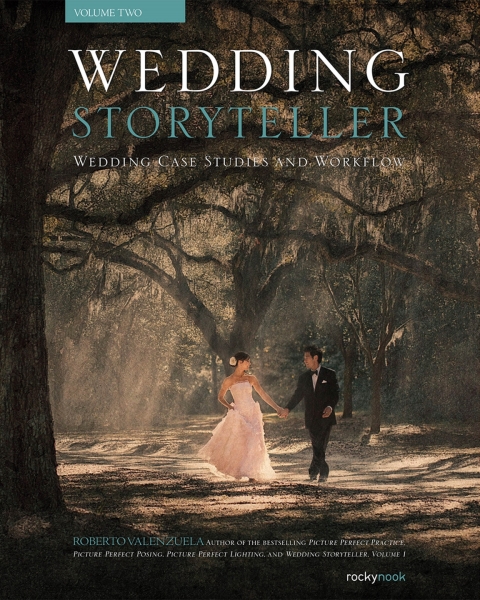 Cover image for book Wedding Storyteller, Volume 2