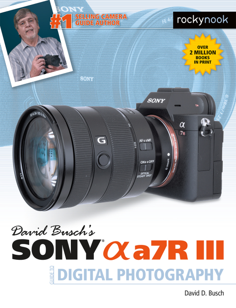 Cover image for book David Busch's Sony Alpha a7R III Guide to Digital Photography