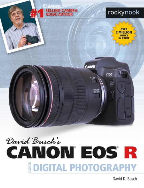 Cover image for book David Busch's Canon EOS R Guide to Digital Photography