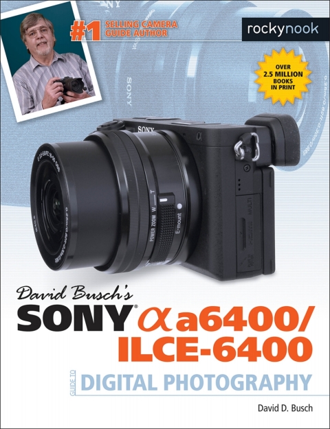 Cover image for book David Busch’s Sony Alpha a6400/ILCE-6400 Guide to Digital Photography