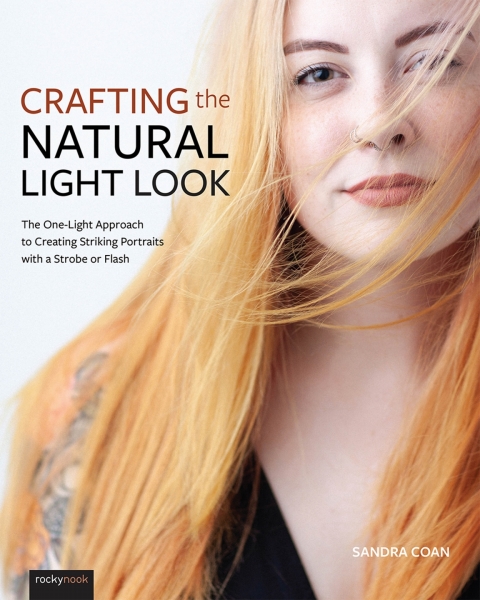 Cover image for book Crafting the Natural Light Look