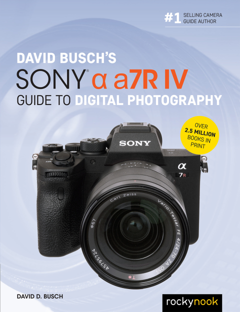 Cover image for book David Busch's Sony Alpha a7R IV Guide to Digital Photography
